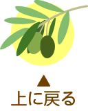 このページのトップに戻る